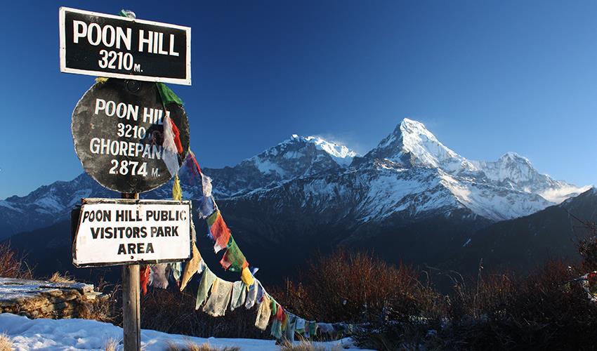 Day 13: Trek from Ghorepani to Poonhill (3210m) and back to Pokhara (820m), (5-6 hrs of walk), (2 hrs drive)